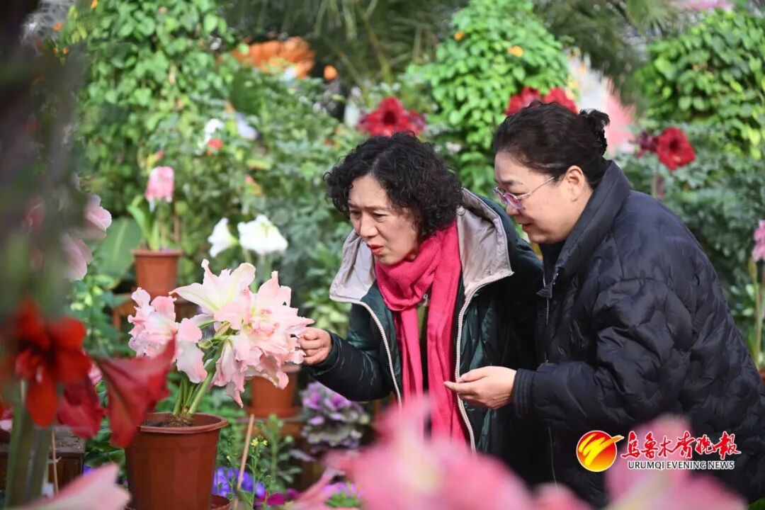 过年人潮已刷屏！新疆各地新年活动扎堆 满城都是人人人