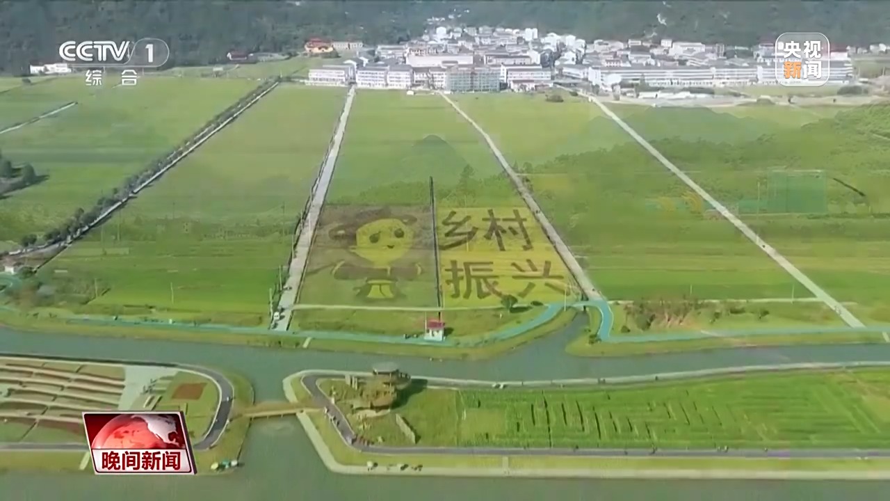 看見美麗中國丨20年“灰山”變“青山” 老鄉(xiāng)村“長”出新業(yè)態(tài)