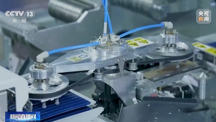 外贸一线观察丨向新向优、更加多元！2025年我国外贸进出口特点显著