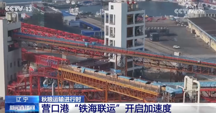 “铁海联运”“黄金水道”按下秋粮运输“加速键” 为全国粮食安全筑牢坚实屏障