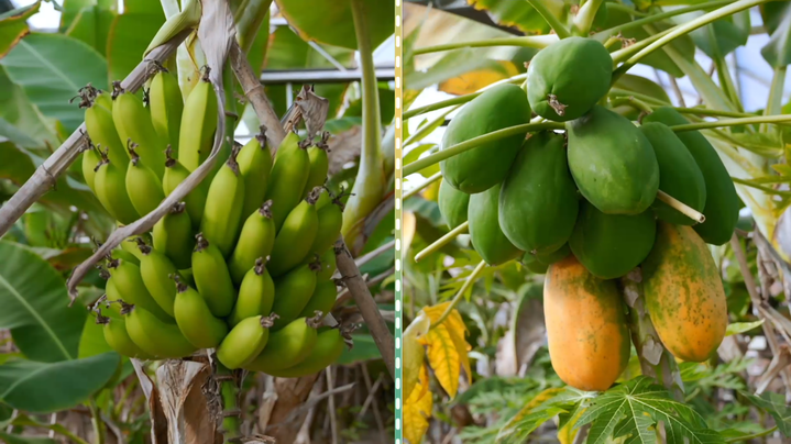 大道之行 | 从“死亡之海”到“塞外明珠”： 山水林田湖草沙综合治理的北疆实践