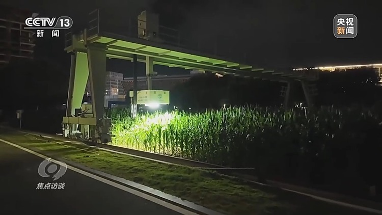 焦点访谈丨如何扎实推进乡村全面振兴?深化改革是关键
