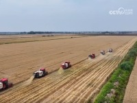【新思想引领新征程】全方位提升粮食产能 夯实粮食安全根基