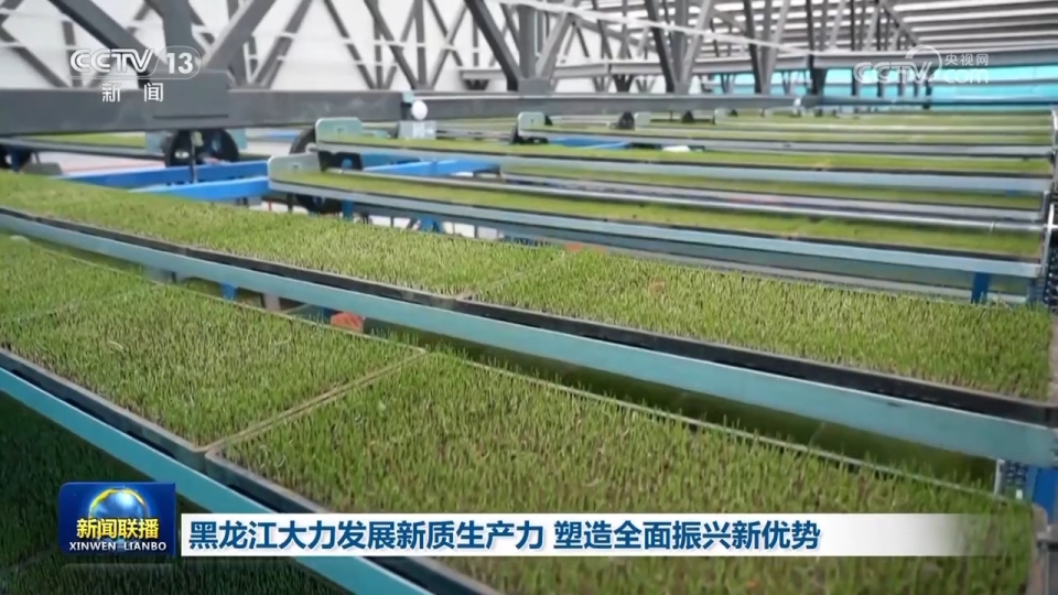 吉林、黑龙江因地制宜培育新质生产力 为高质量发展持续注入新动能