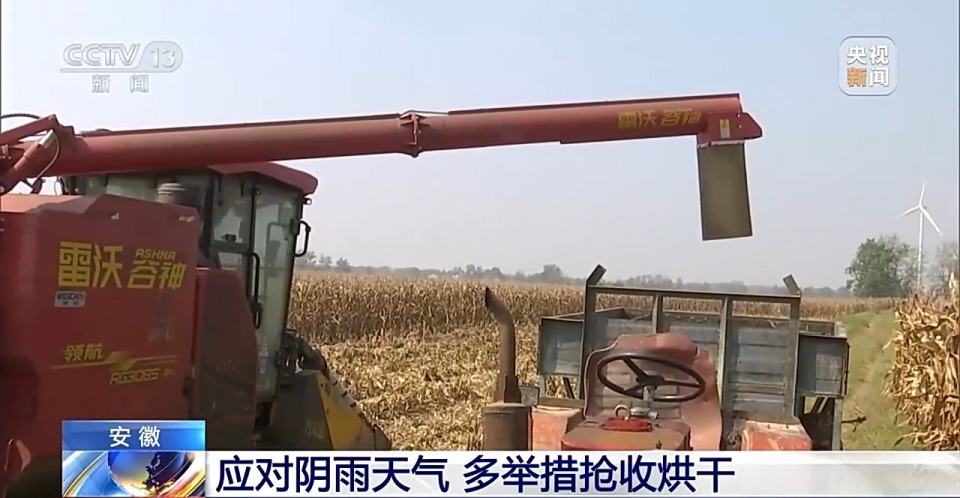 “收好粮”才能“卖好价” 机械助力粮食抢收新“丰”景