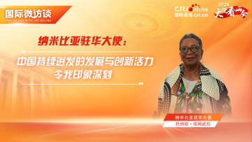 纳米比亚驻华大使：中国迸发的发展与创新活力令我印象深刻