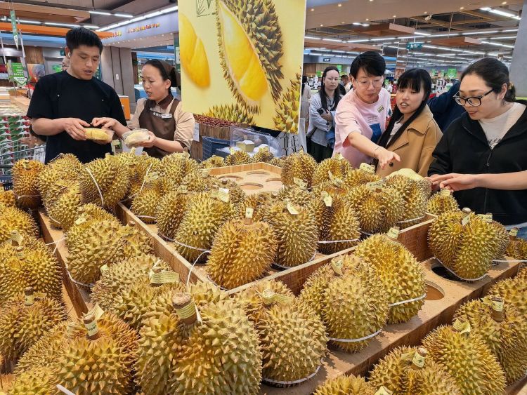 晶采观察丨畅通国民经济循环 多个“物流指数”传递积极信号
