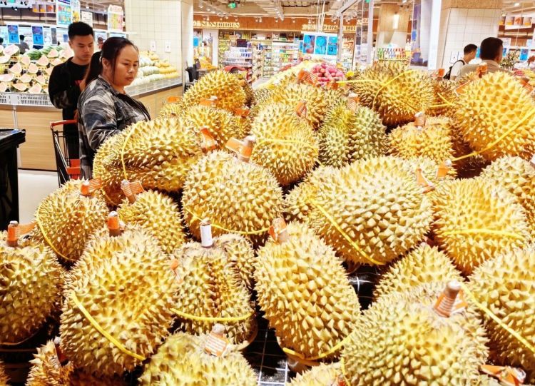 中国空调15天运到欧洲，靠的是这条“快车道”