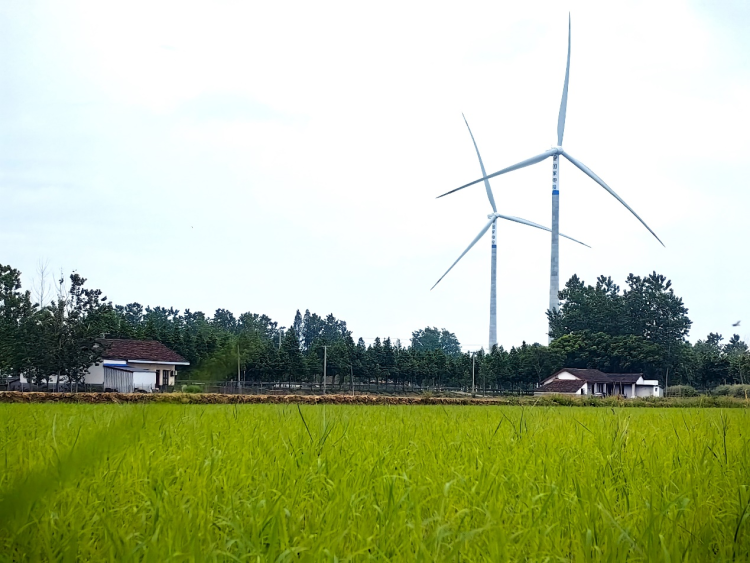 风车舞洞庭 “绿”自风中来——湖南首个规模化平原混塔风电项目投产_fororder_3