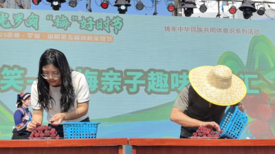 Bianyang Yangmei Festival in Luodian, Guizhou Empowers Integration of Culture and Tourism
