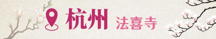 文化中国行·文博日历丨早春玉兰开 一起到全国古迹去追花（附打卡攻略）