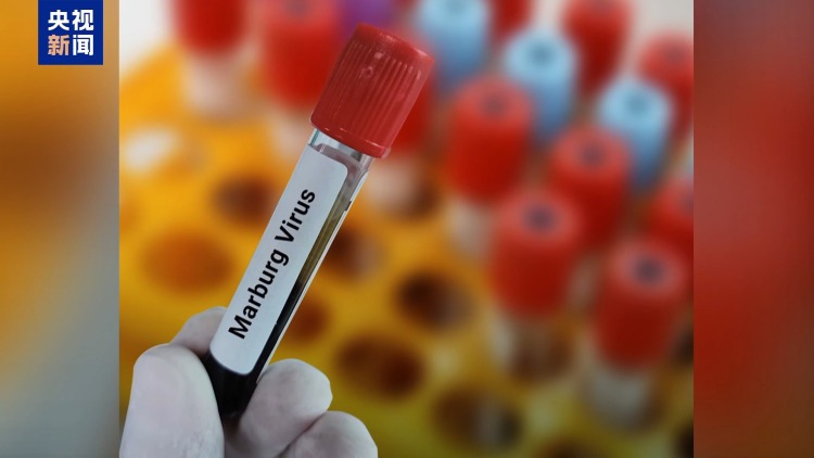 非洲疾控中心采取行动防止马尔堡病毒跨境传播