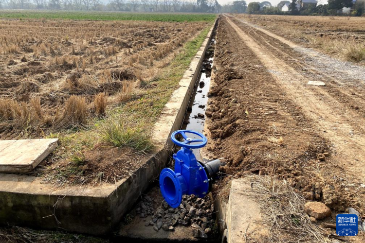 四中全会精神在基层|湖南浏阳：一亩耕地的“生长”