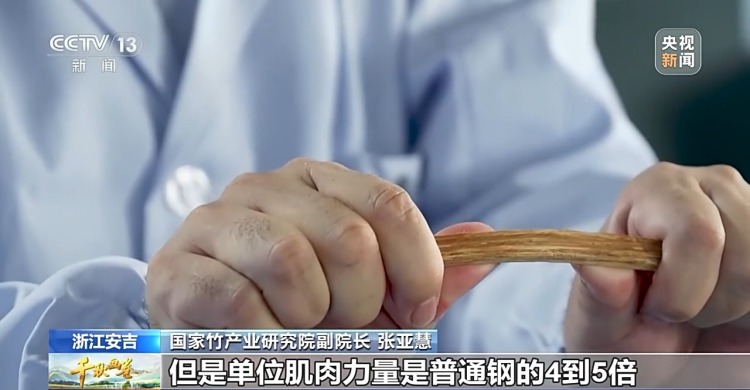 “两山”理念提出二十周年：绿水青山千秋画 万里江山共此卷