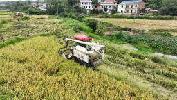 湖南衡山县推广低茬收割技术 让秸秆变废为宝
