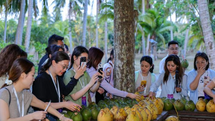 开局之年看中国·开放自贸港：从椰子到椰枣——海南自贸港的“绿色对话”