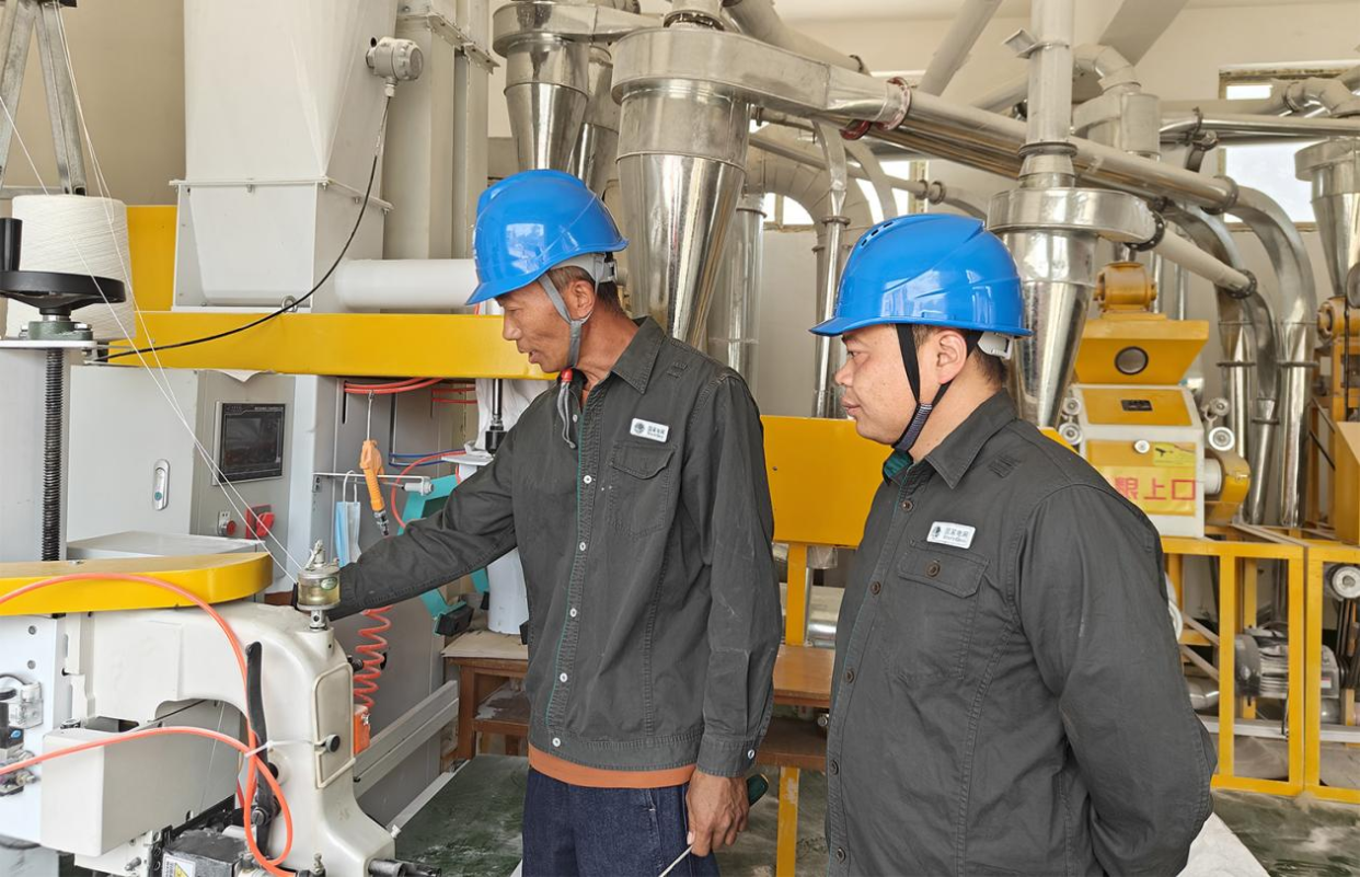 Jiaozuo, Henan: Power Supply Enhances Local Specialty Industries_fororder_图片7