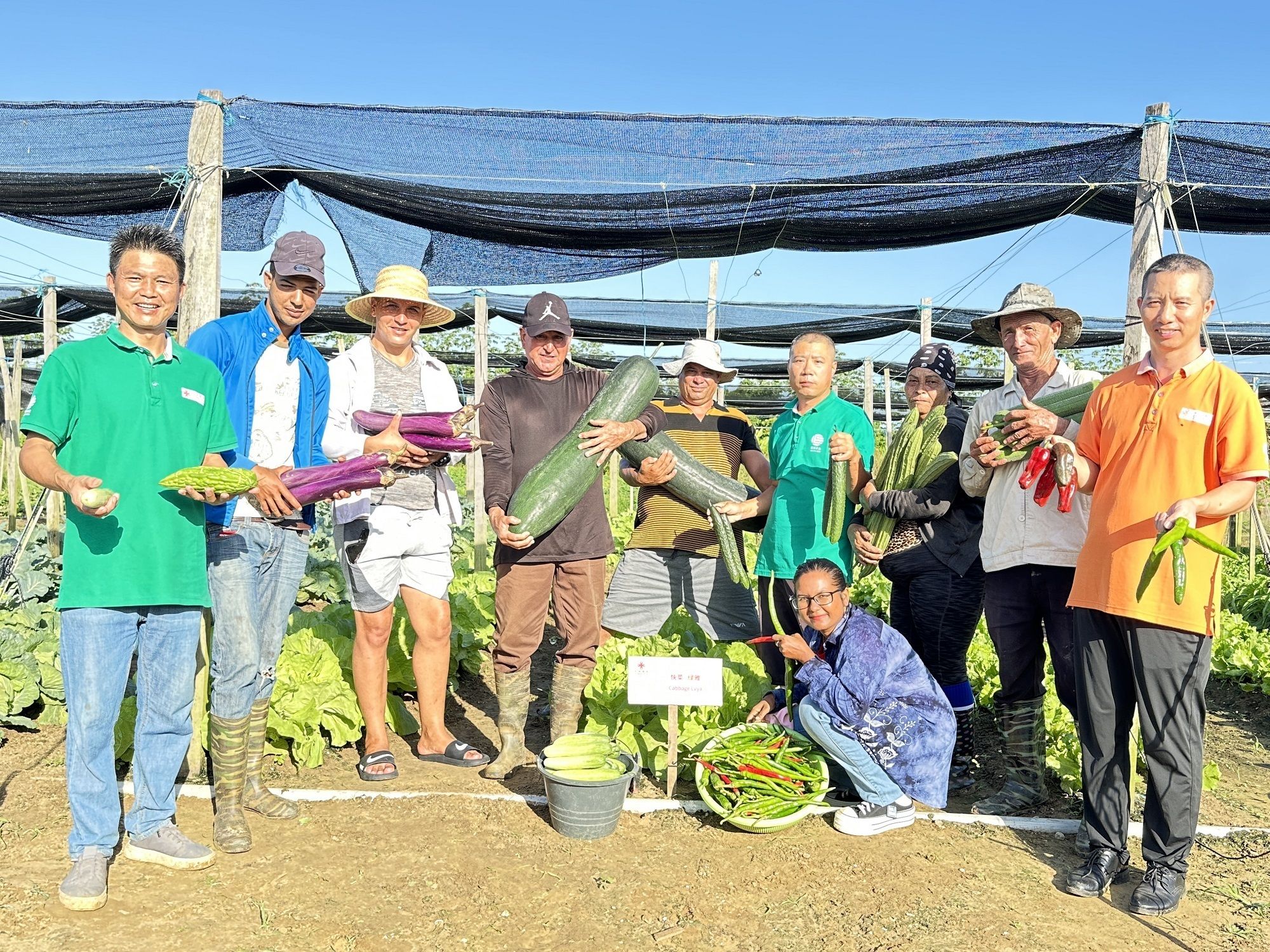 共筑金色梦想丨在这个南美国家 民众称赞中国人“真正把技术送到田间”