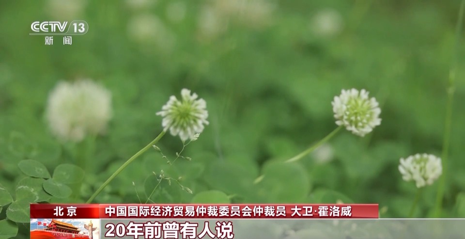 解决国际商事海事纠纷，他们选择中国！看“东方经验”的独特优势