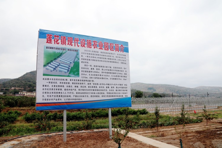 天水秦安县莲花镇：17座冬暖棚加速建设 激活乡村振兴新动能_fororder_2