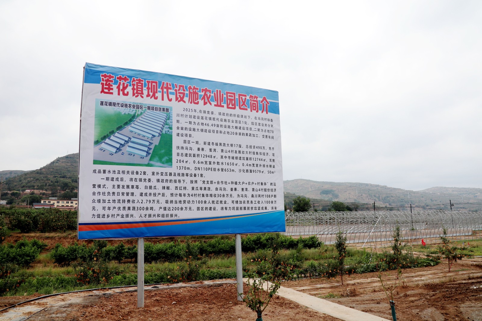 天水秦安县莲花镇：17座冬暖棚加速建设 激活乡村振兴新动能_fororder_2