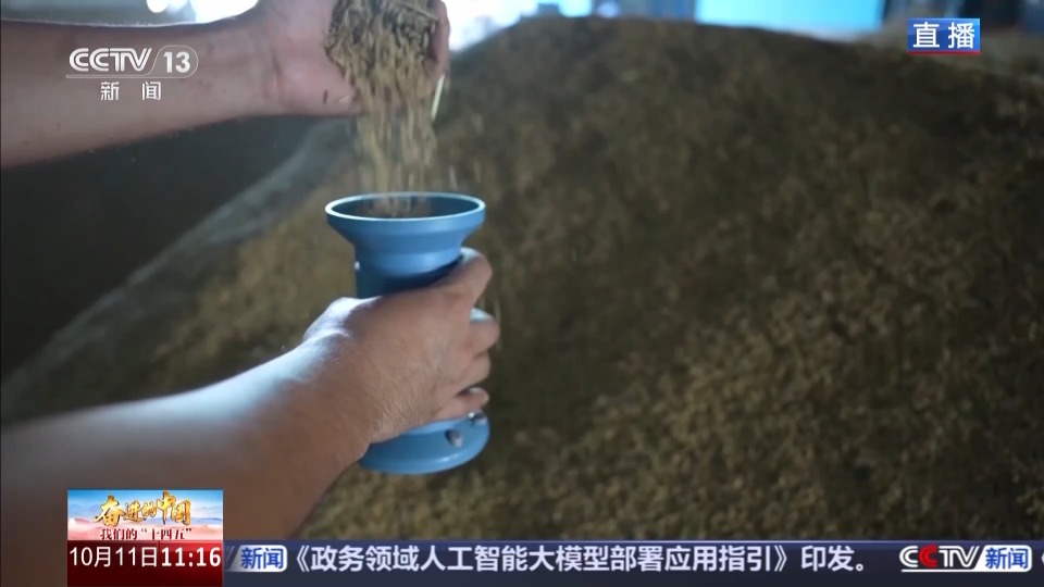 科技赋能单产提升 记者探访“大国粮仓”第一线