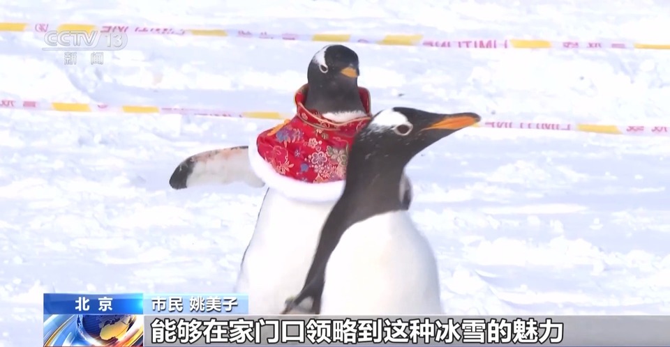 享夜漂、赏雾凇、住藏寨……这个冬天有多好玩？