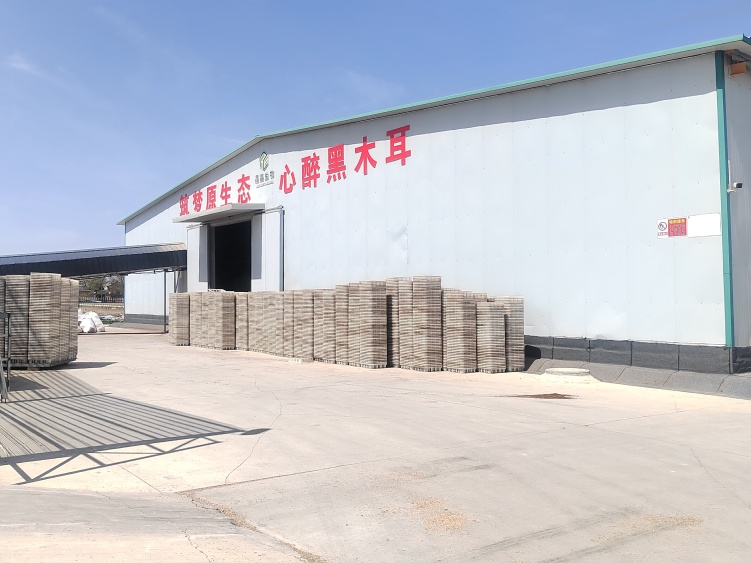 “税”动循环农业新引擎——庆阳市西峰区创新服务助推“三元双向”绿色发展