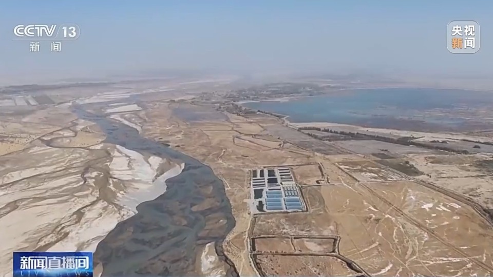 沙漠边缘养螃蟹 新疆如何做到“海鲜”大丰收？