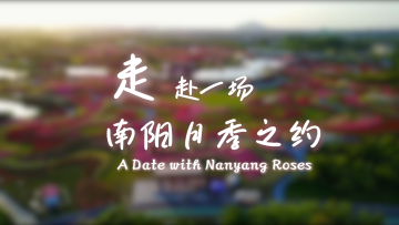 【鲜味中国·夏溢】走，赴一场南阳月季之约_fororder_0610封面(1)(1)