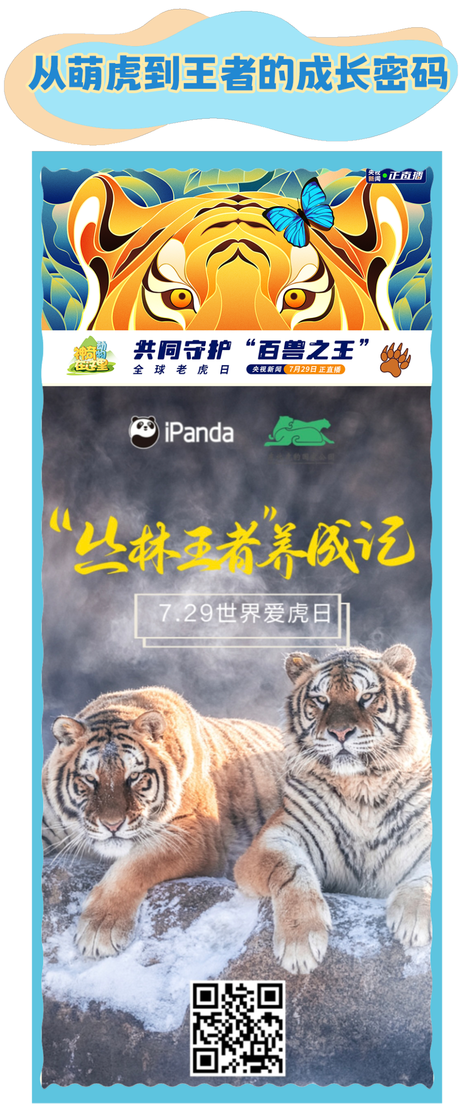 总台周看点丨向前向前向前！