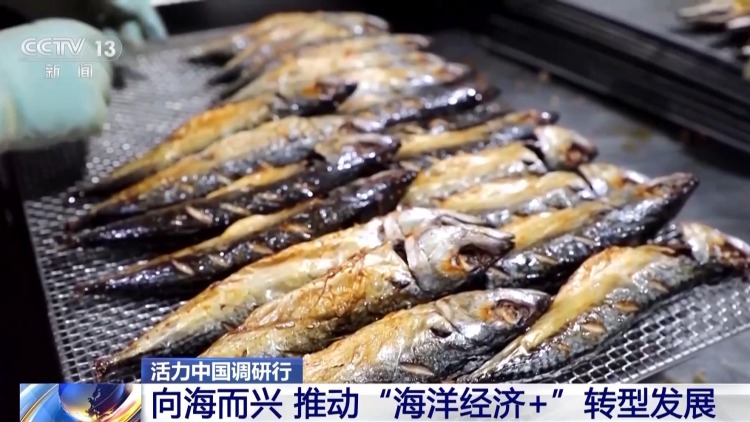 活力中国调研行丨边陲小城奏响海洋经济交响曲