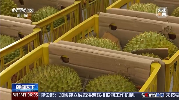 降低通关成本、促进产供链延伸  RCEP亮“成绩单”