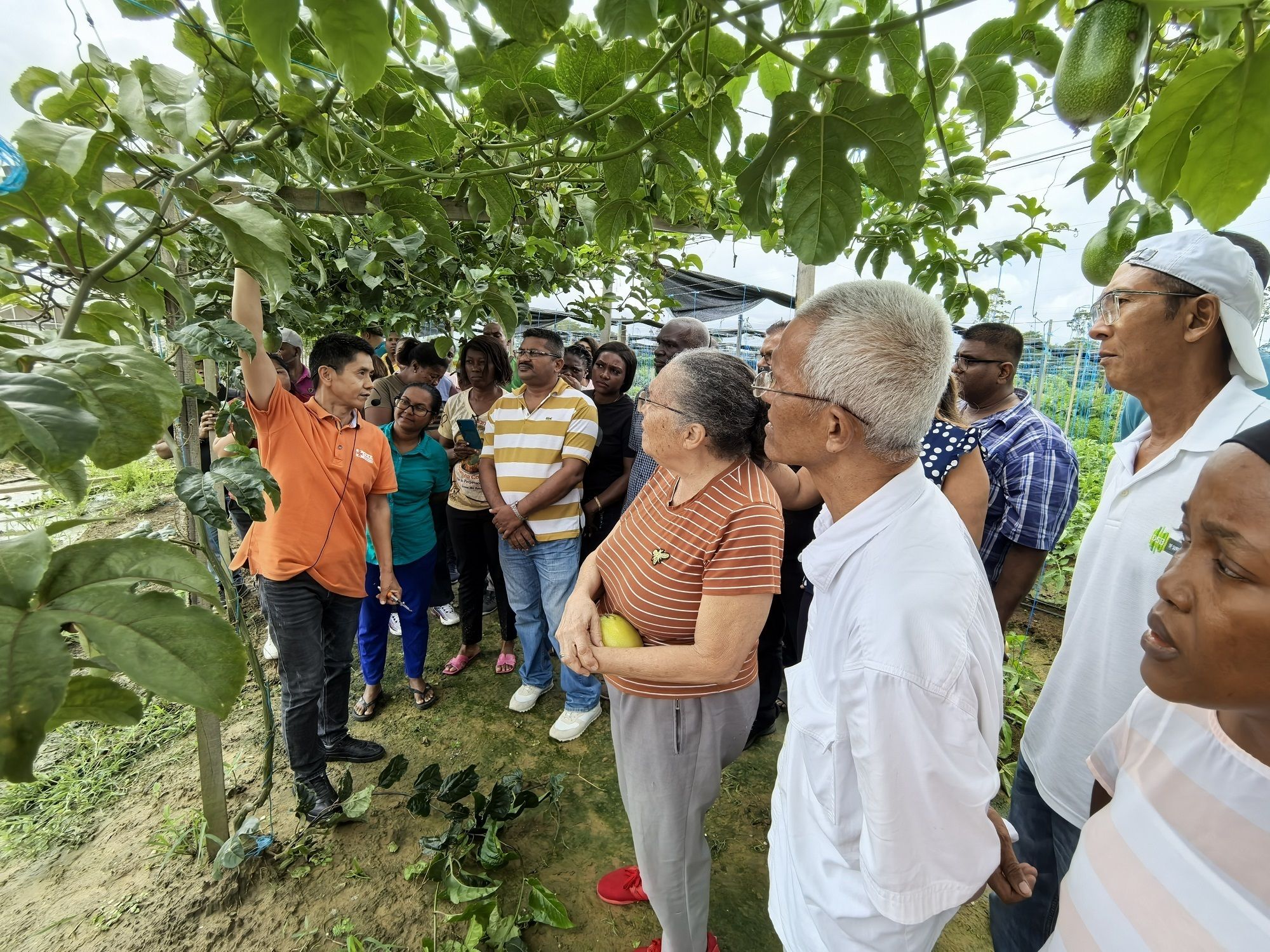 共筑金色梦想丨在这个南美国家 民众称赞中国人“真正把技术送到田间”