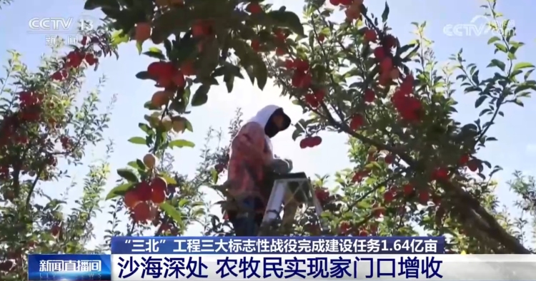 “三北”工程三大标志性战役成效如何？一组数据带你了解_fororder_4