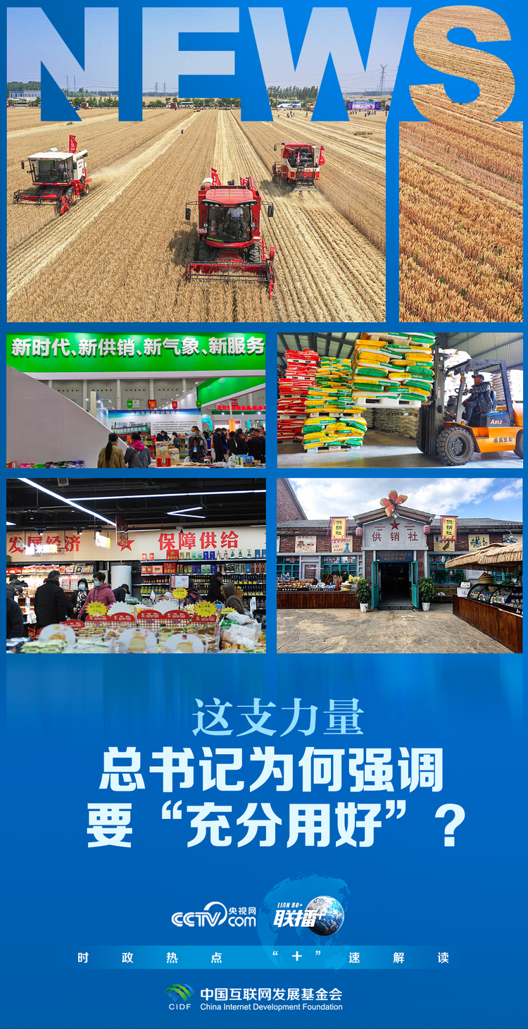 联播+｜这支力量 总书记为何强调要“充分用好”？