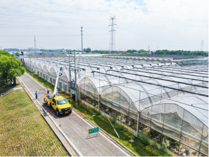 State Grid Zhejiang Powers Rural Revitalization Through Targeted Agricultural Services_fororder_图片2