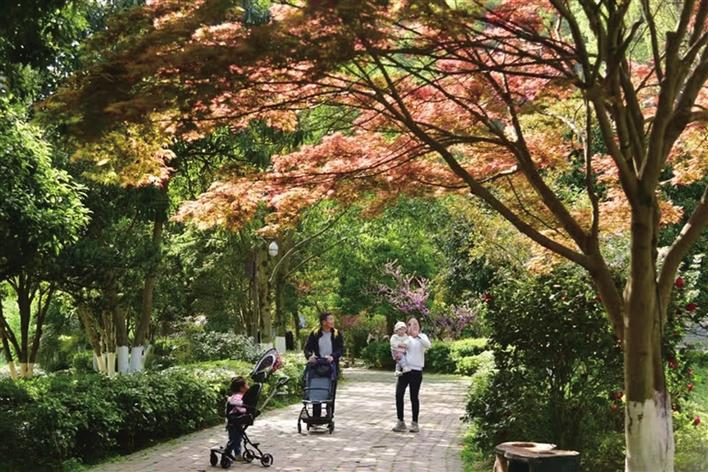 夏游张家界黄龙洞， 邂逅别样 “枫” 情_fororder_微信图片_3