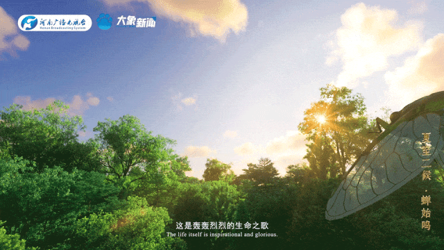 何以中国丨中国节气·夏至
