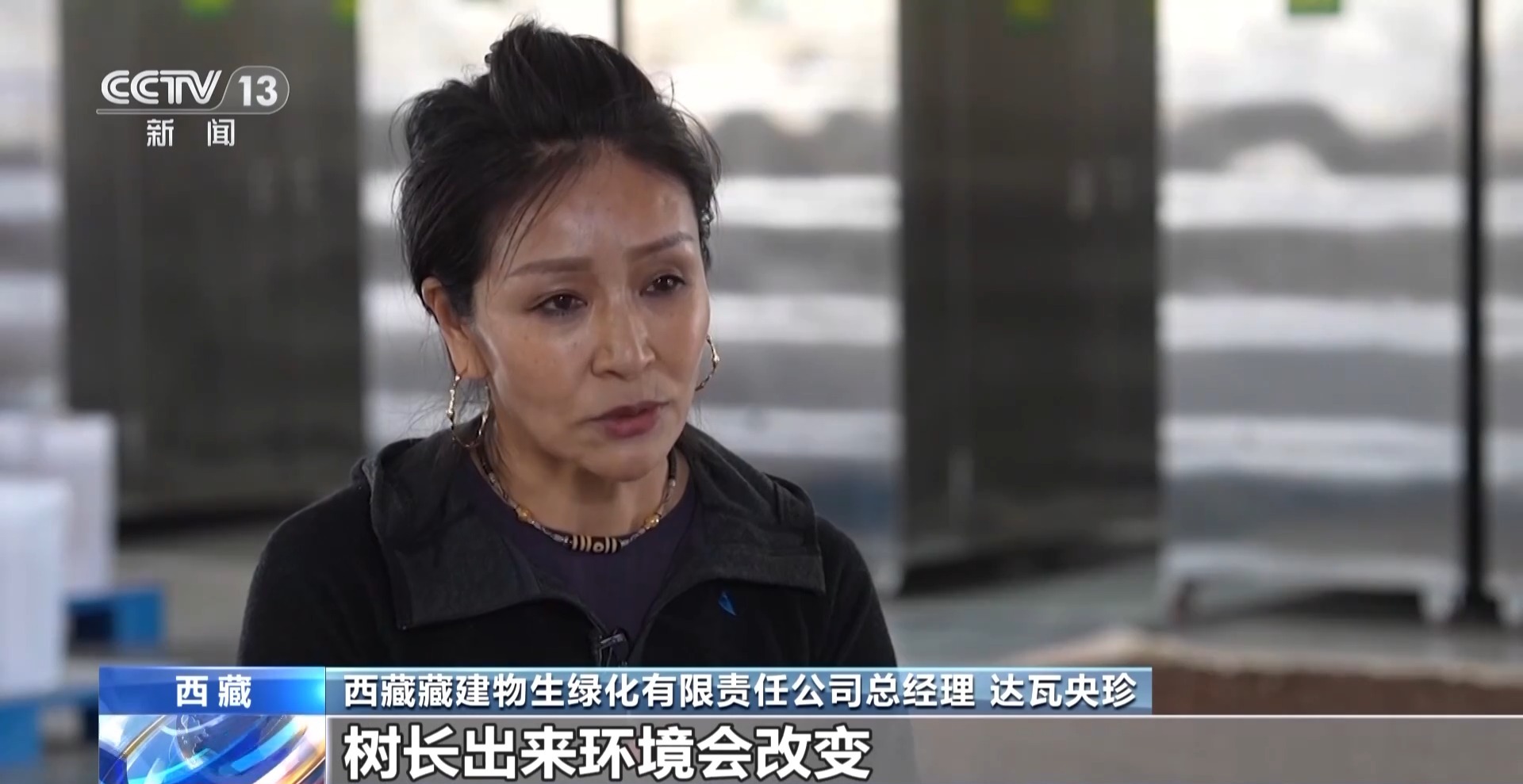 4年栽植苗木1.2亿多株 看拉萨高原如何披“绿装”