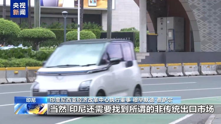 印尼专家：美国加关税是贸易保护主义行为