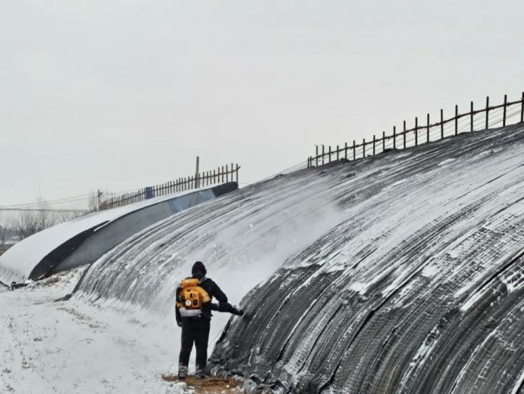 生活观察|寒潮来袭，“速冻”模式如何应对