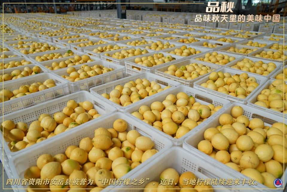 赏秋图鉴,解锁秋天的N种打开方式!