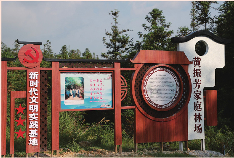学习·故事丨青山变“金”山 习近平与三棵杉树的故事