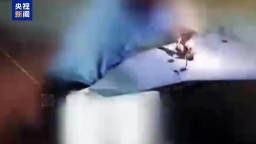 视频丨伊朗公布“哈迪德110”高速无人机打击画面