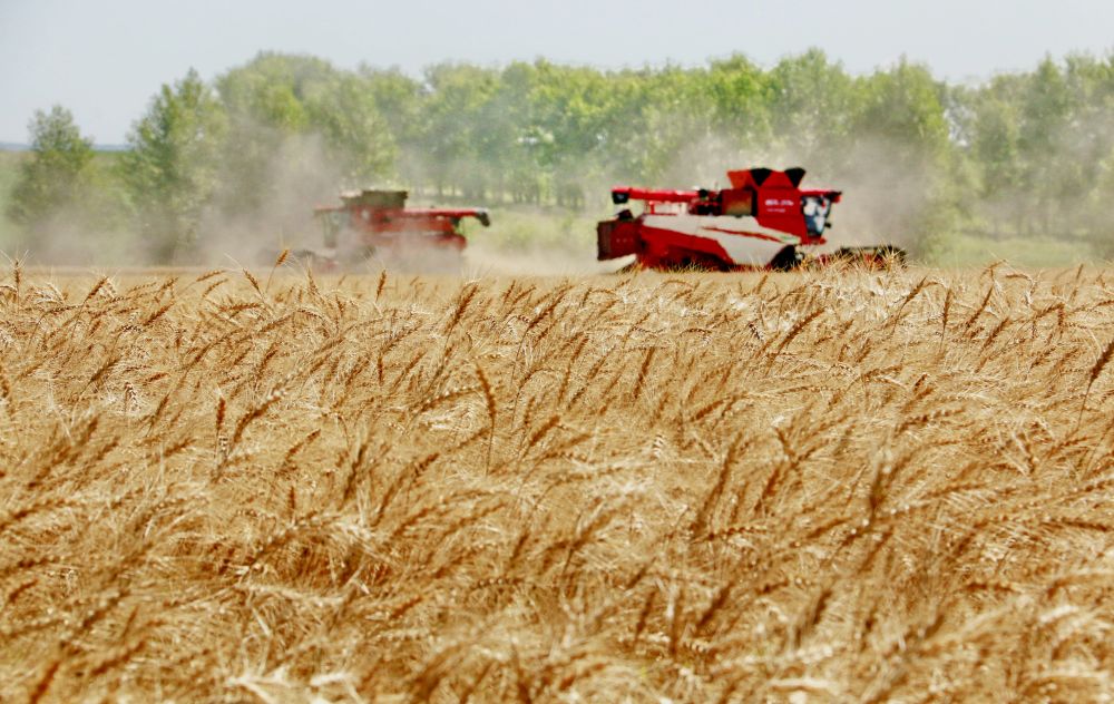 新华社政论：夯实基础全面发力，推进中国式现代化行稳致远——写在“十五五”规划纲要启动实施之际