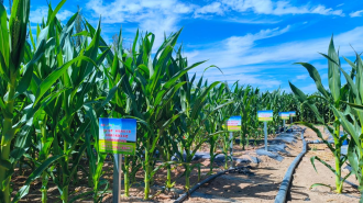 二十年深耕旱区 甘农团队以智慧灌溉解锁“滴水兴农”密码