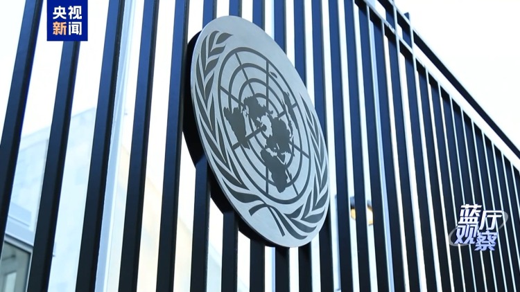 蓝厅观察丨中方锚定“两国方案”推动巴勒斯坦问题政治解决