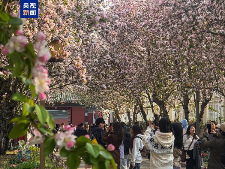 清明假期第二天 北京市属公园迎客87.36万人次