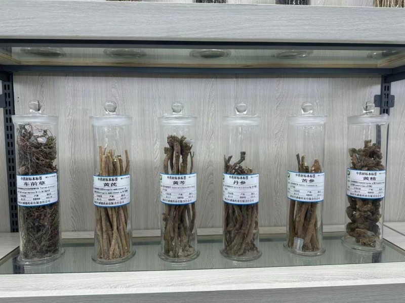손사막 고향에서 현대 중의약의 도시까지: 퉁촨서 이어지는 천년 의약의 맥_fororder_图片 4